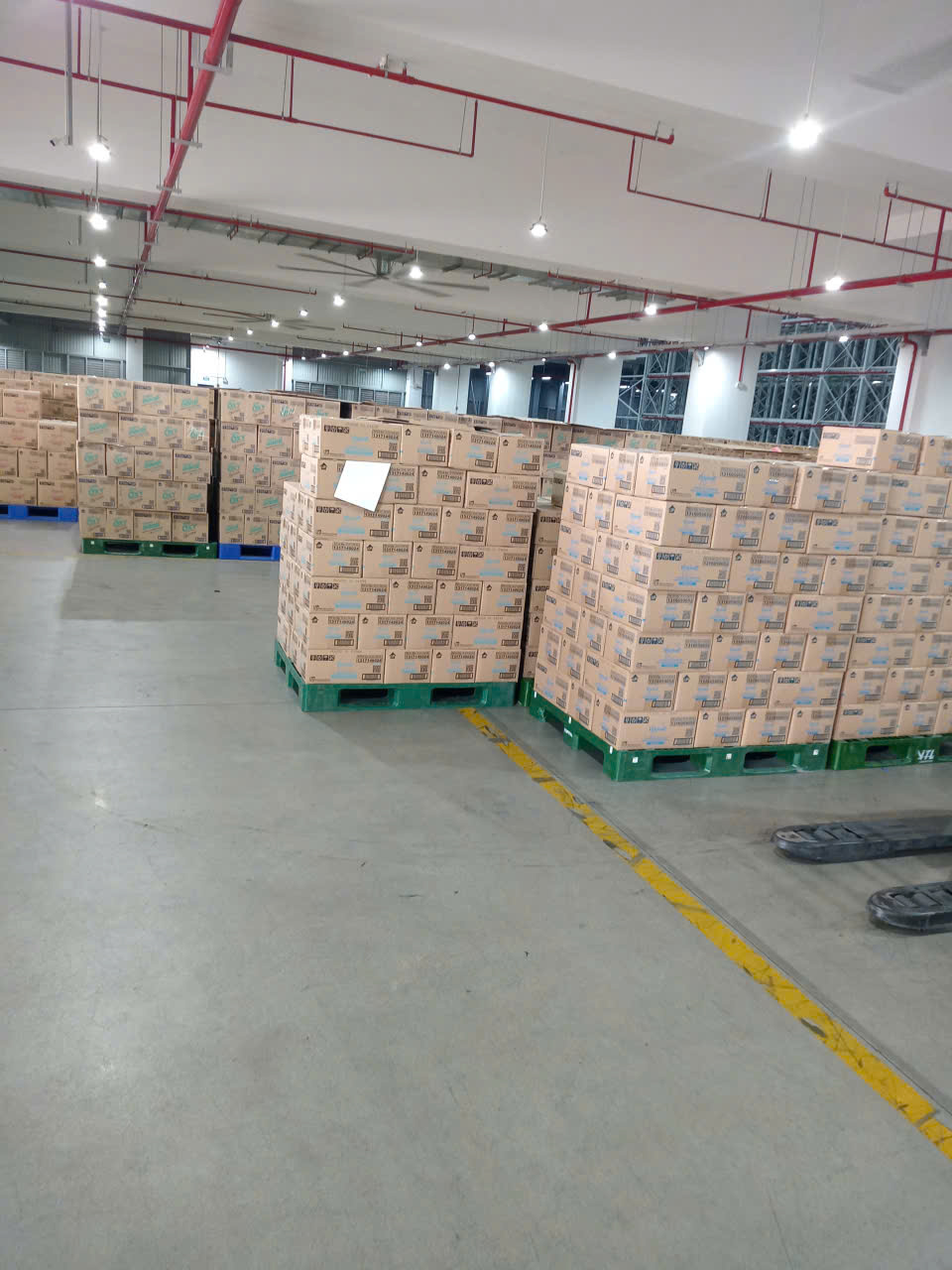 Nhân công bốc xếp theo giờ hoặc theo ca