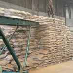 Nhu Cầu Bốc Xếp Hàng Hóa Tại An Giang