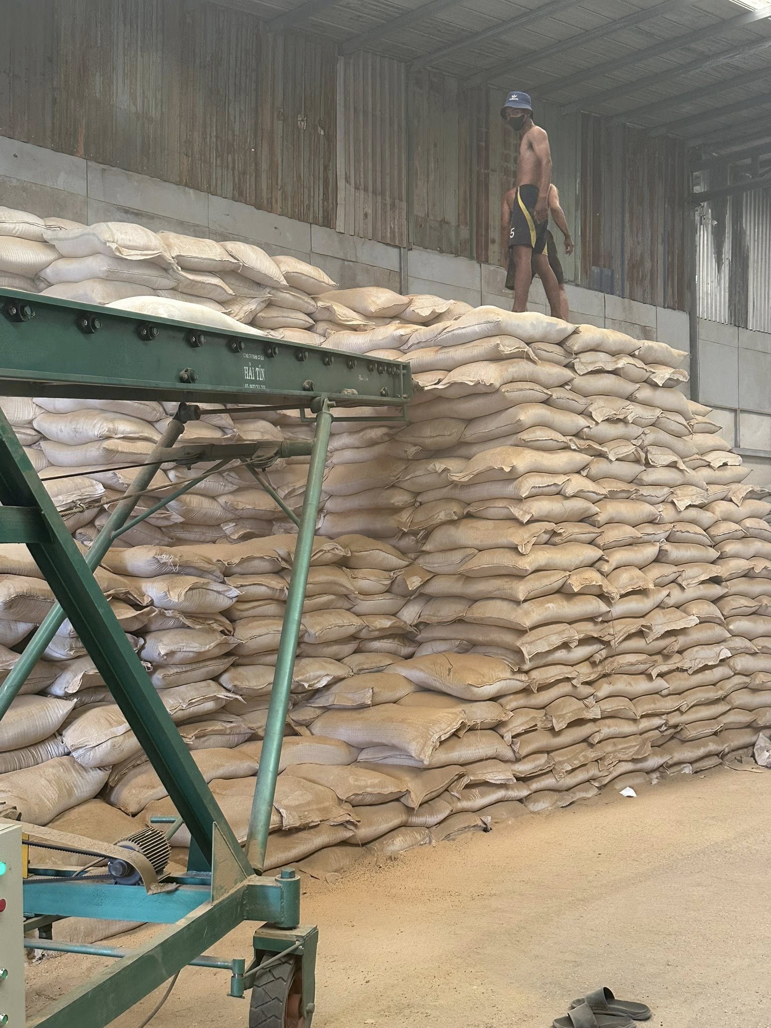 Nhu Cầu Bốc Xếp Hàng Hóa Tại An Giang