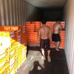 Tổng Quan Nhu Cầu Bốc Xếp Hàng Hóa Tại Bến Tre